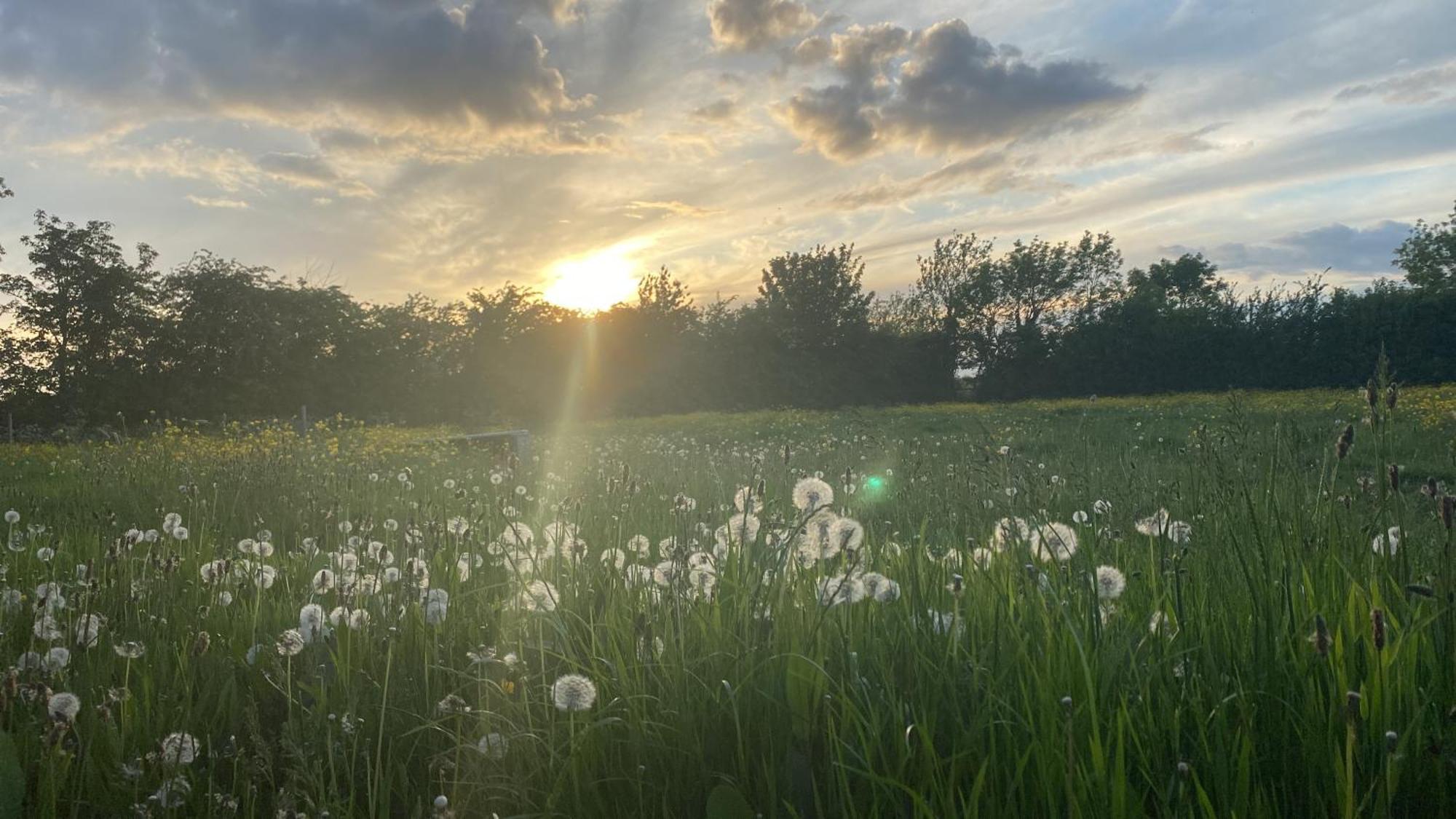 Wellbet Farm Hotell Swinderby Exteriör bild