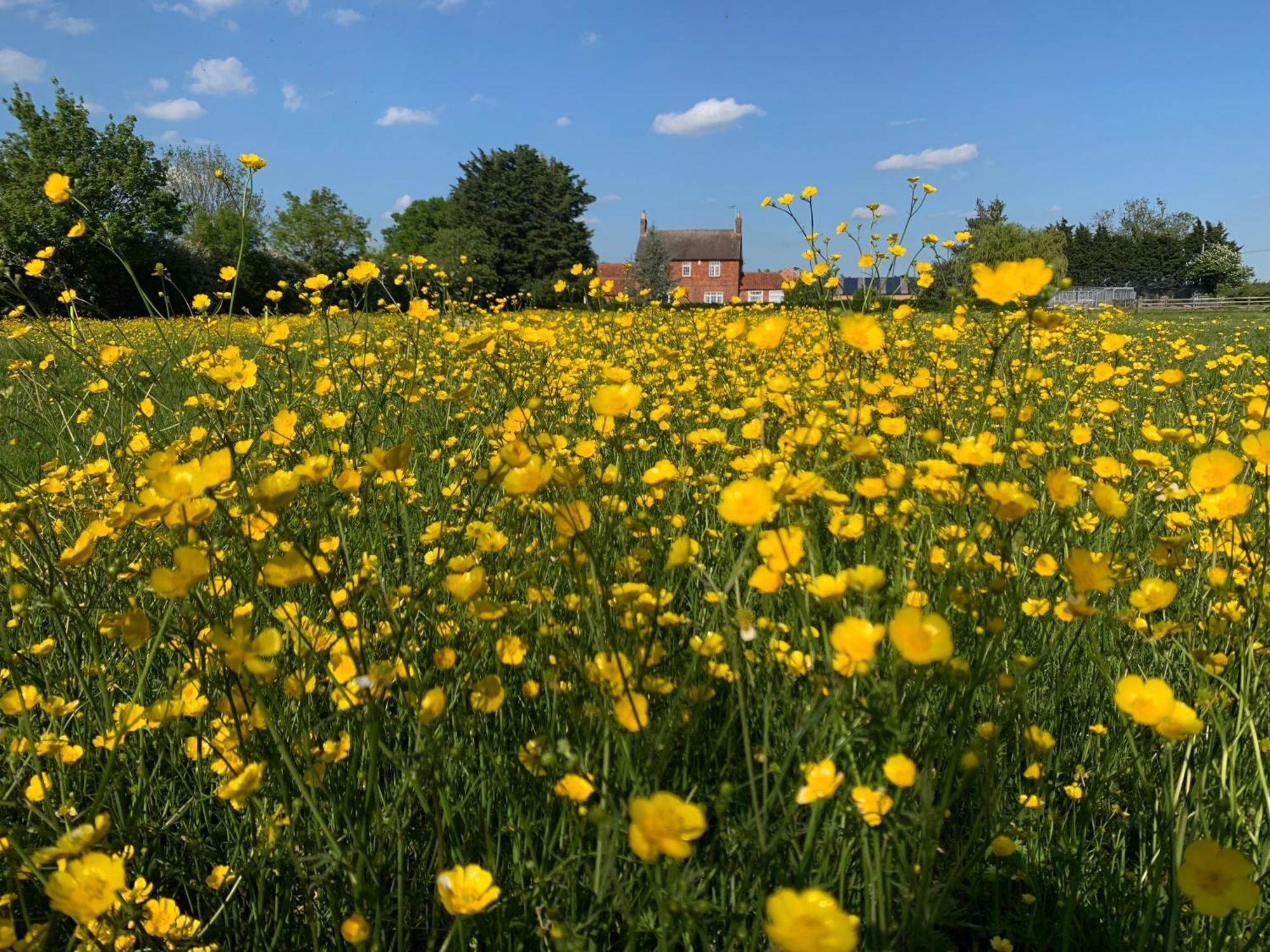 Wellbet Farm Hotell Swinderby Exteriör bild